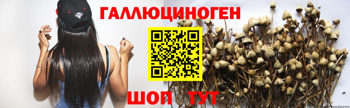 Псилоцибиновые грибы ЛСД  Вход с VPN  Изобильный 